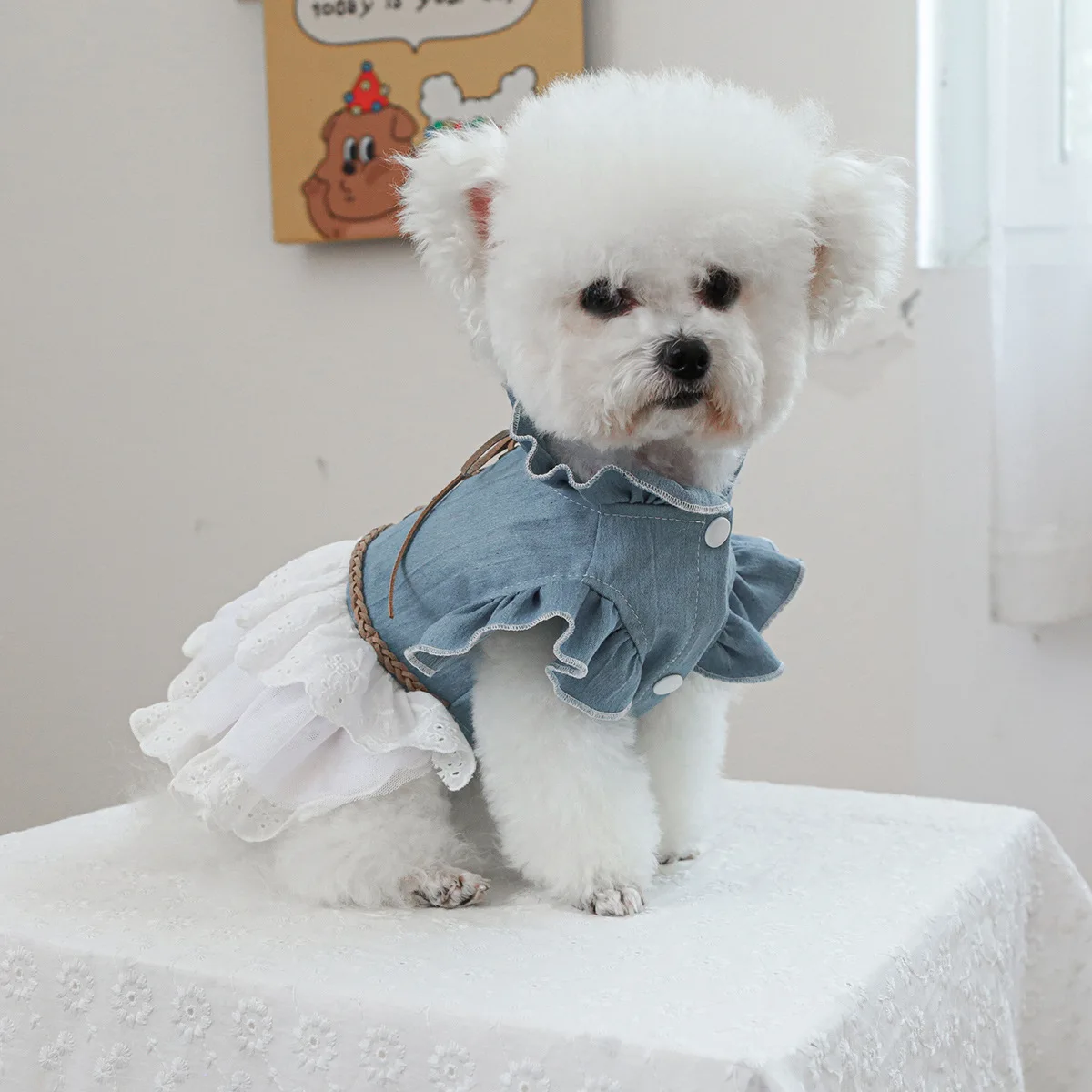 Pet Clothing Dog Cat Clothing Cute Modern Texas Denim Dress