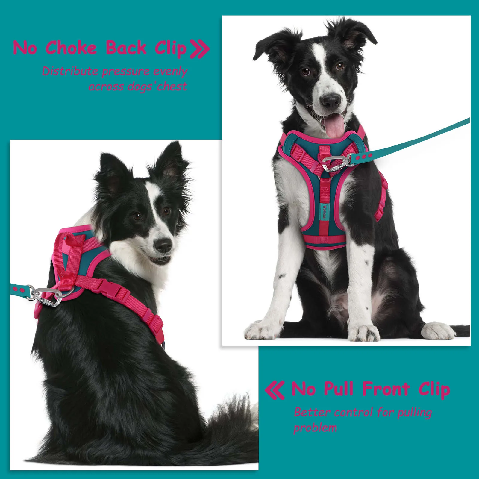 Splicing Colors Breathable For Medium No Pull Dog Harness for large Small dogs Adjustable Chest Strap Outdoor Dog Harness