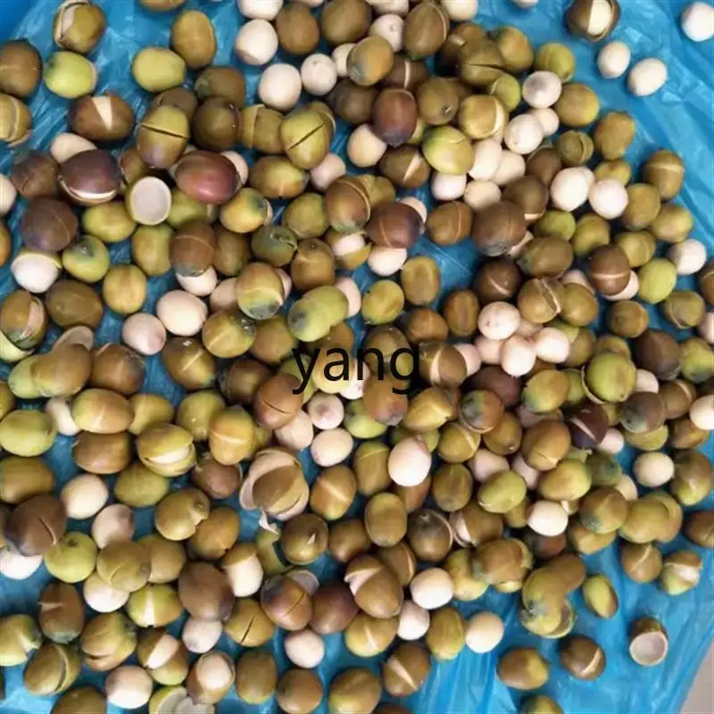 VC lotus seed sheller hand crank lotus seed peeling machine shell peeling machine - view 2