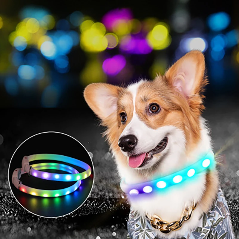 Collare per cani a LED scolorito con ricarica USB Collare luminoso di sicurezza notturno con luce fredda per cani Collana luminosa media di razza