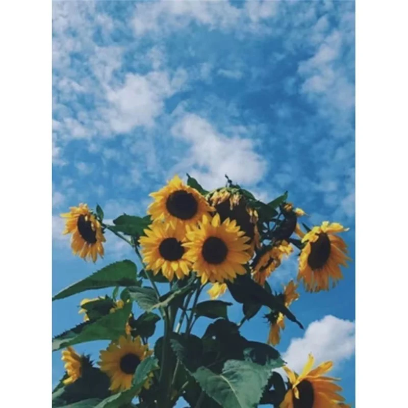 

Наборы для вышивки крестом с подсолнухами, наборы для вышивки на холсте с принтом, 11CT, сделай сам, ручная вышивка, поделки для гостиной