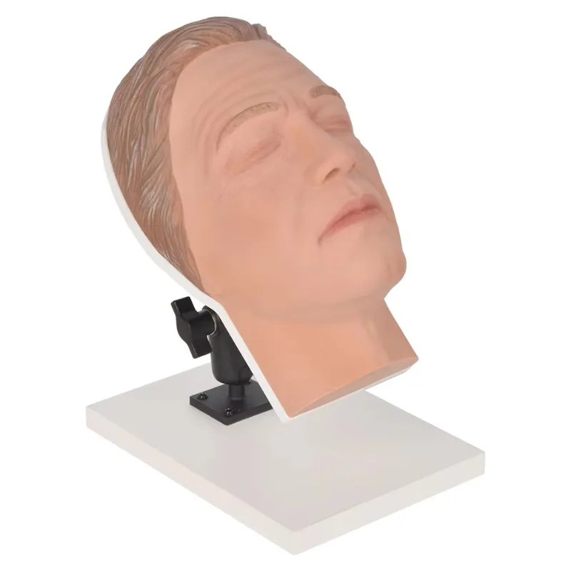 

Facial Injection Mannequin Model Head Dermal Injection Manikin HeadFemale Modele forInjection Practice And Skincare Simulation