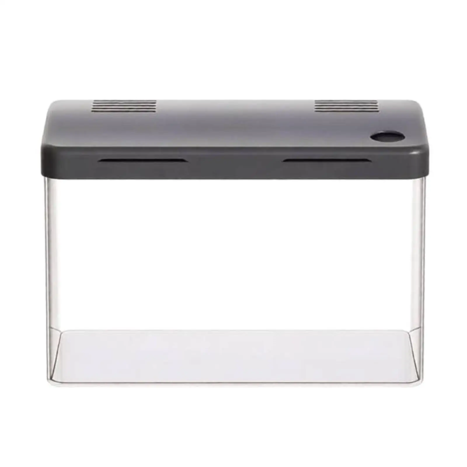 Space Saving Acrylic Aquarium Box Rectangular with Rounded Corners for Home Office Aquatic Decor