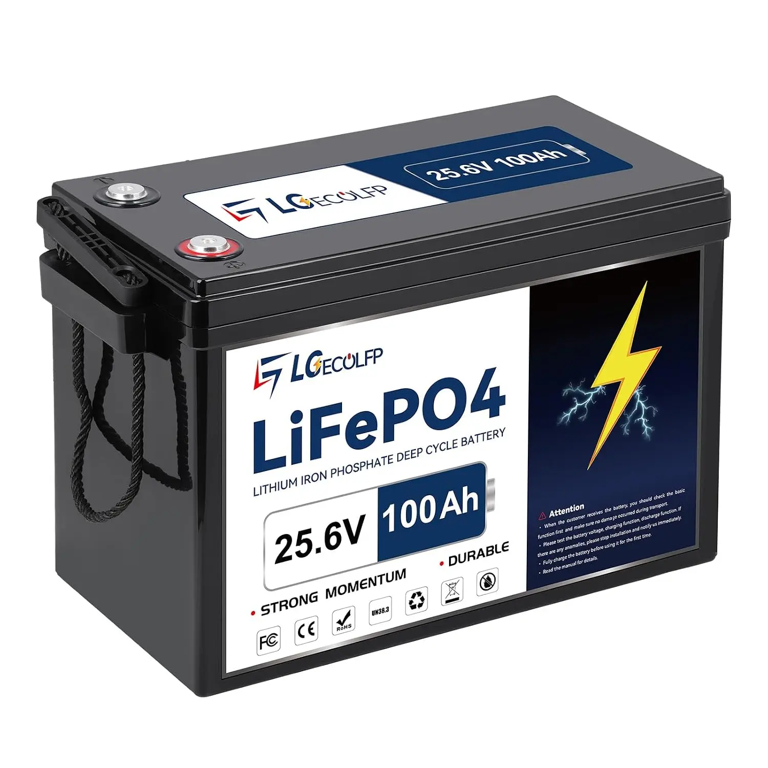 24V 100Ah LiFePO4 Battery with 100A BMS, 7000+ Cycles, 2560Wh, Series & Parallel for RV, Solar, Marine, Camping, Customized