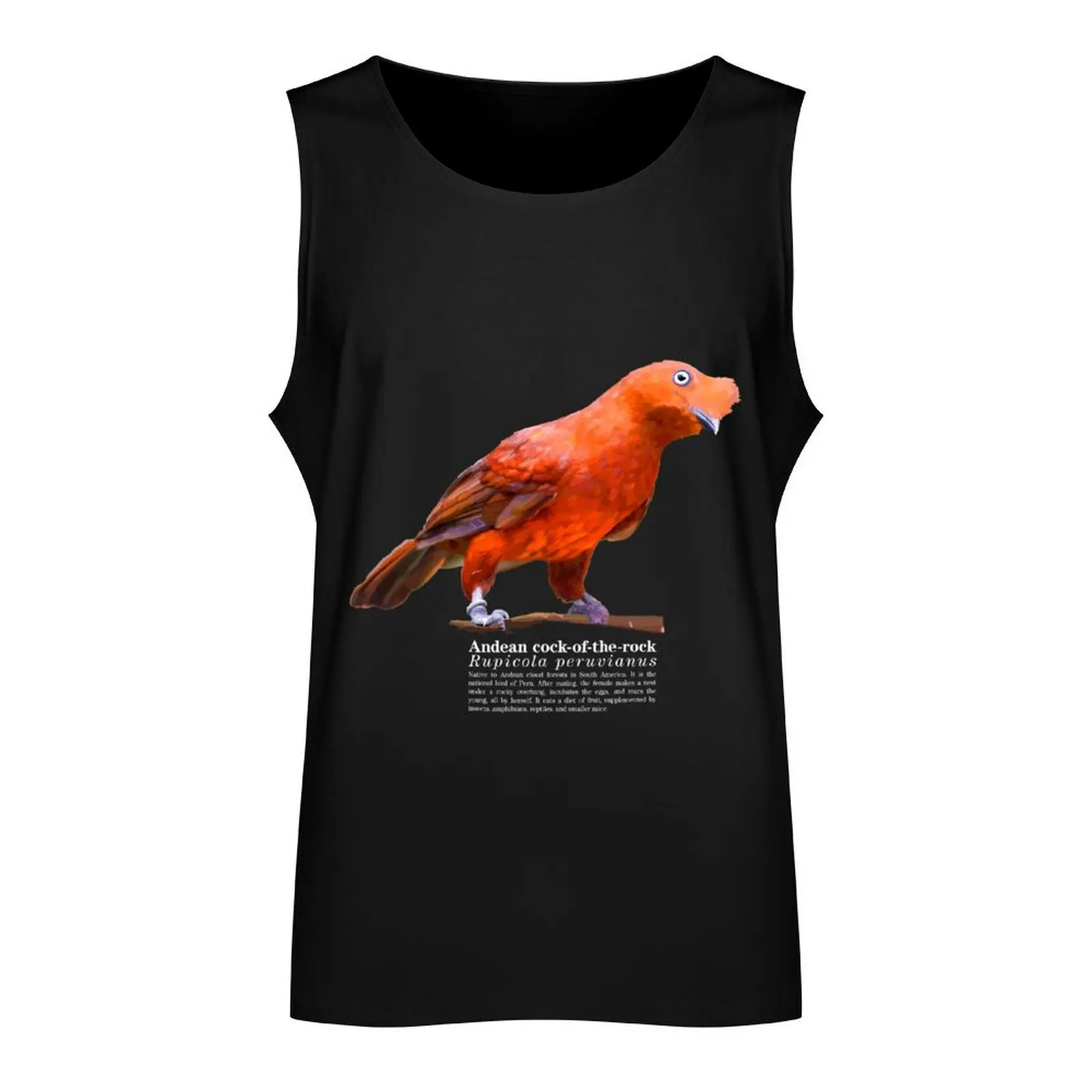 Andean cock-of-the-rock bird on the rocks Tank Top Men's summer vest bodybuilding man