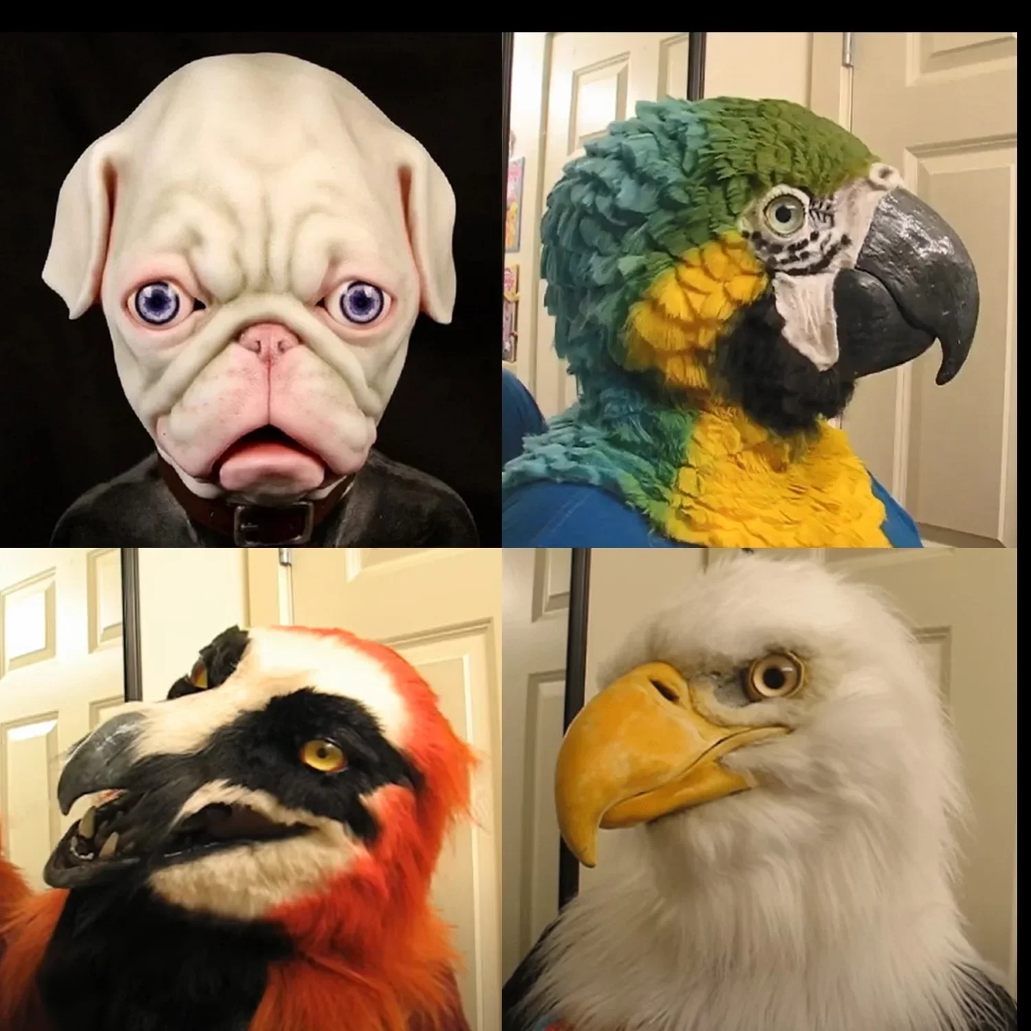 Eagle mask Eagle hood Halloween simulation animal Bulldog Parrot Old man Young man hood mask