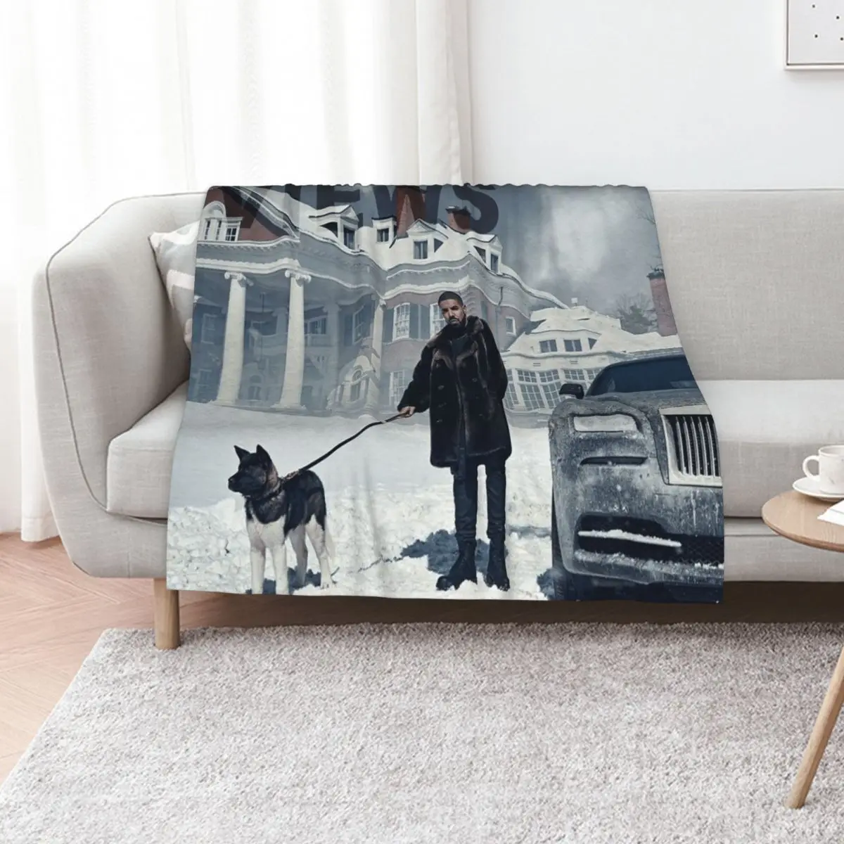 Drake with Dog Views Tapestry Throw Blanket Stylish Couch Blanket for Home Living Room