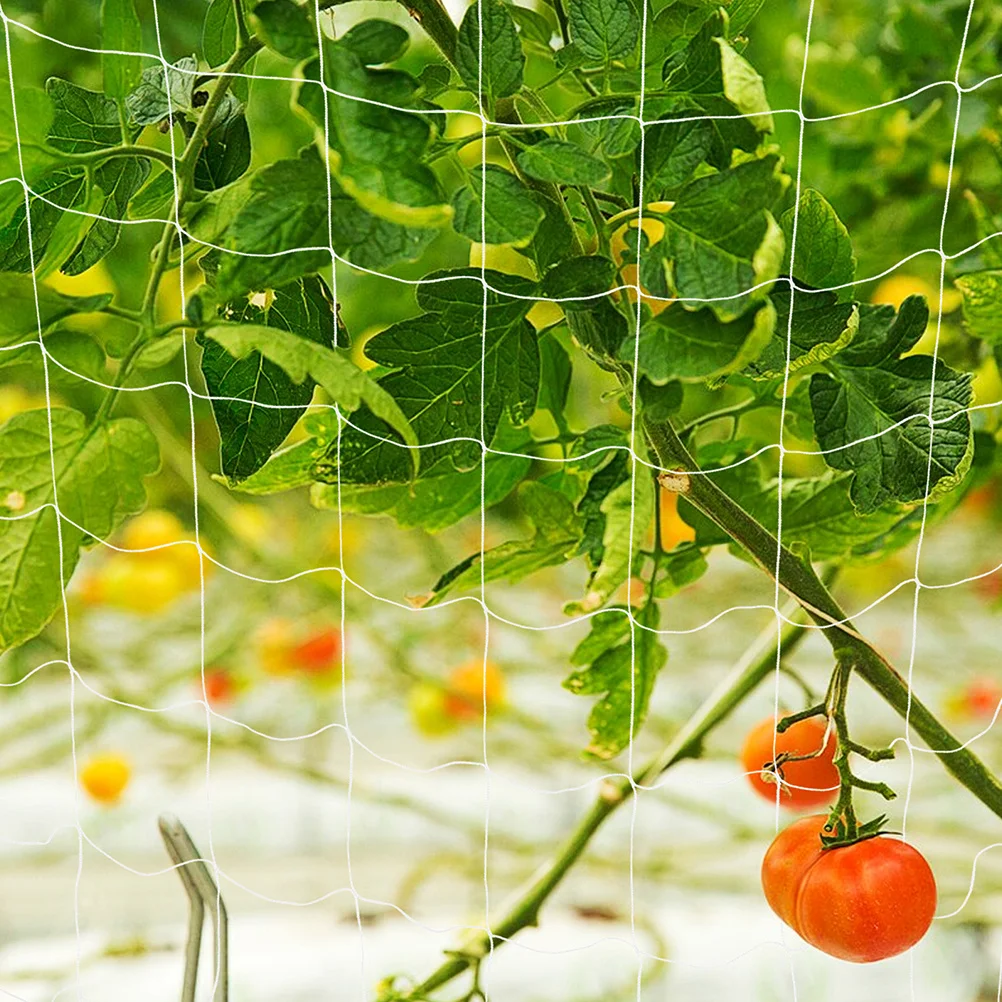 

Сетка для вьющихся растений 10 м, сверхпрочная полиэстеровая садовая сетка-решетка для поддержки фруктов и овощей, быстрая установка