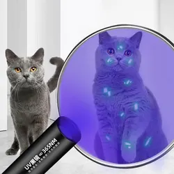 1PC Cat Moss Detection Light Black Mirror UV Fluorescent Light Pet Fungus Detection Veterinary Professional Equipment