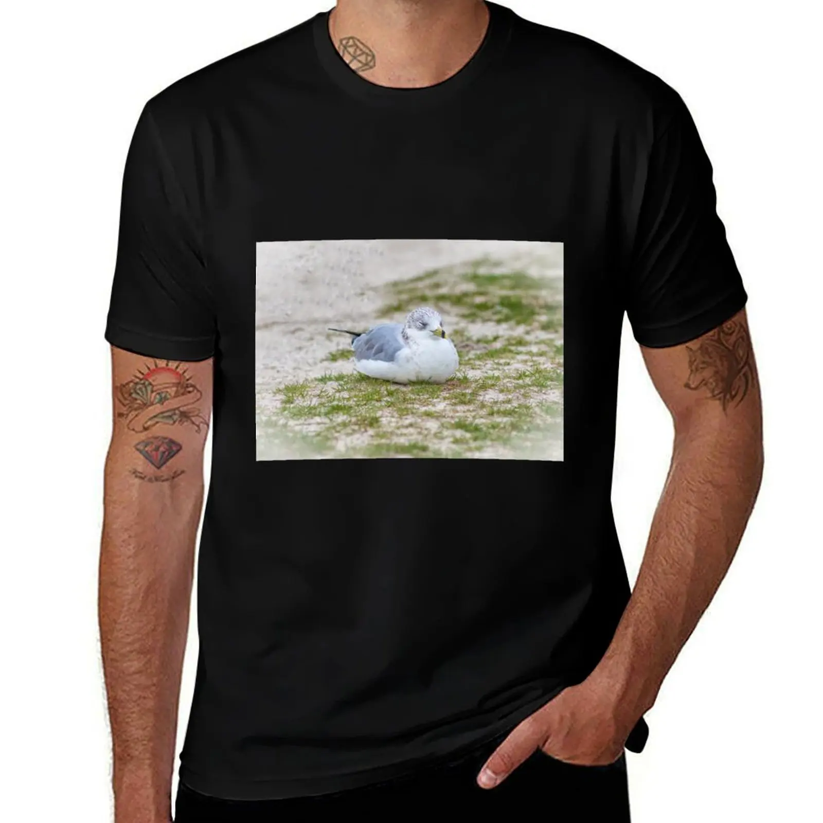 Do Not Disturb the Gull T-Shirt Plus Size Outdoor Casual Top