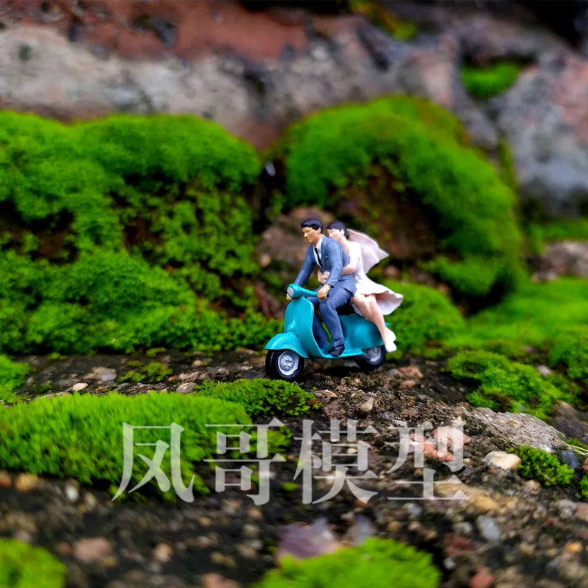 1/64, 1/87 HO Scale Couple Romantic Wedding Scene Miniature Model Props, Succulent Bonsai Decoration