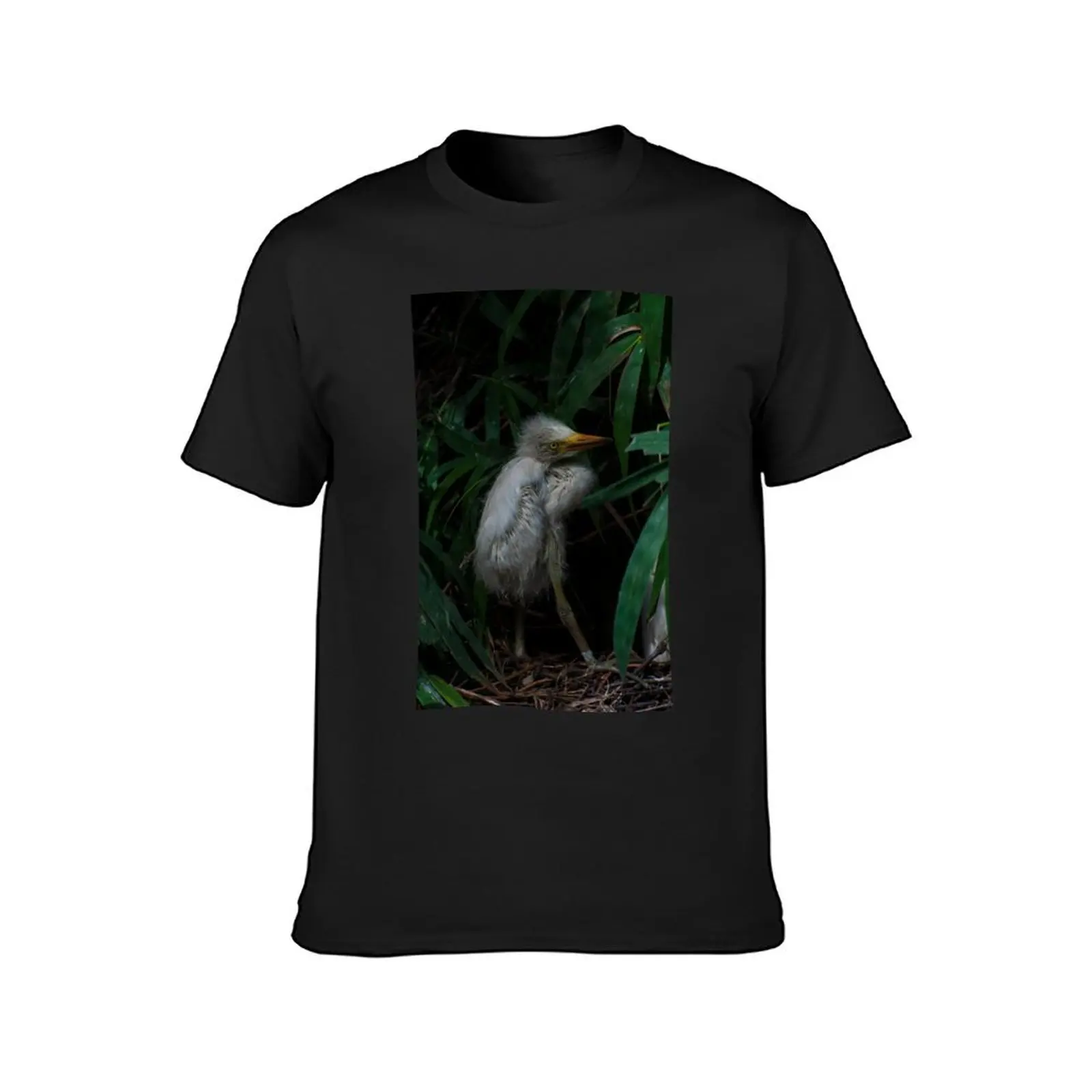 Beautiful white egret baby bird in the nest. T-Shirt Blouse Short sleeve tee for a boy Short sleeve tee men