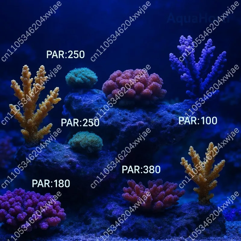 Underwater PAR Meter for Coral Reef, IP68 Waterproof Photosynthetic Irradiometer Tester for Aquarium Fish Tank Light Measurement