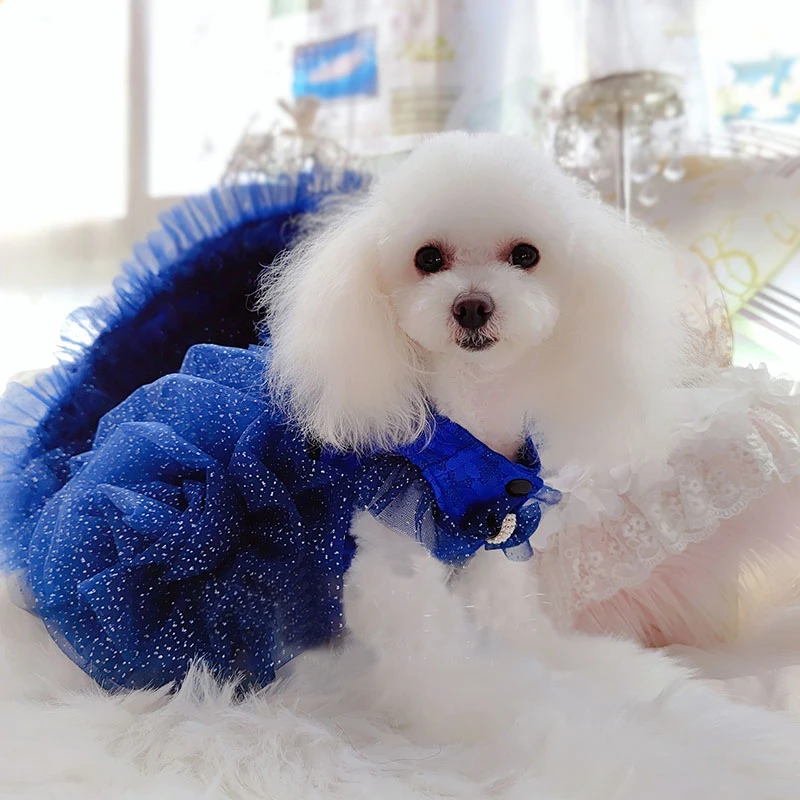 Imagem -05 - Filhote de Cachorro Roupas de Cachorro Artesanal Luxo Azul Longo Cauda Rendas Vestidos de Casamento para Pequeno Cão Pet Roupas Cabolsas Trajes Poodle Chihuahua