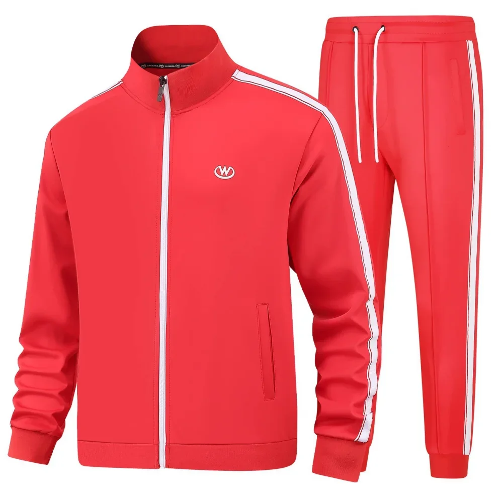 Men Minimalist Sportswear Stand Up Collar Zip-Up Jacket Striped Solid color Print Casual Running Tracksuit Marathon Carnival