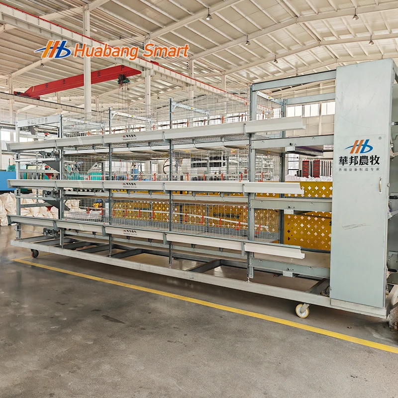 

Клетки для коммерческого бройлера, модульные клетки для птицы, полностью автоматизированная система клеток для бройлеров, для использования на крупных фермах