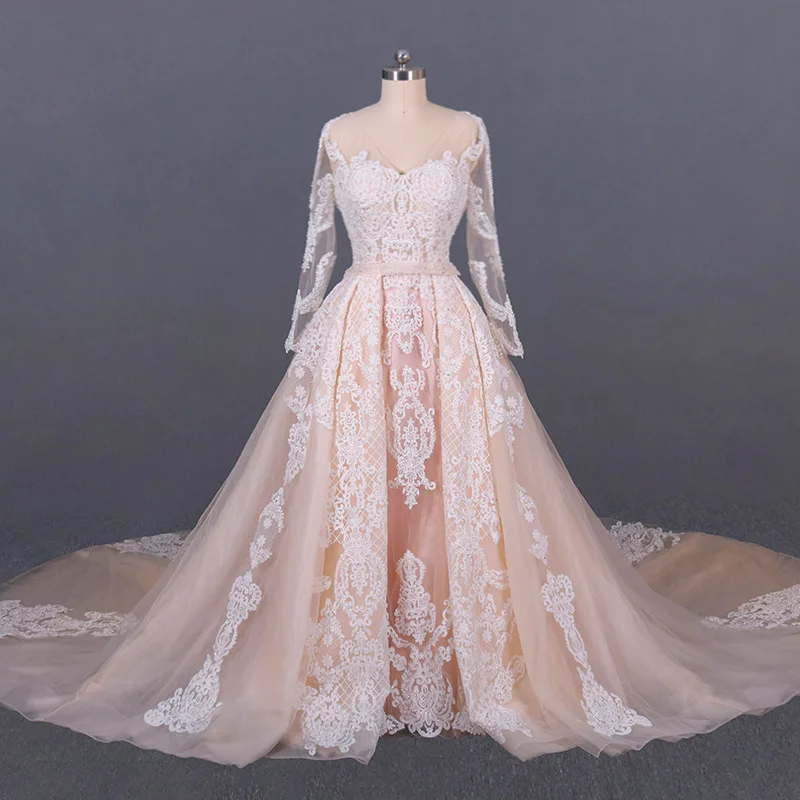 Transparent Long Sleeves Delicate Embroidery Lace Overlay Blush Wedding Gown V-Neck A-Line Champagne Regal Bridal Dress Novias