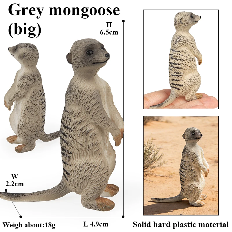 Oenux Simulation Neue Wilde Tierfiguren Stehende Wüsten-Meerkatze Otter Nutria Modell Actionfiguren Kinder-Lernspielzeug Geschenk – Detail 5
