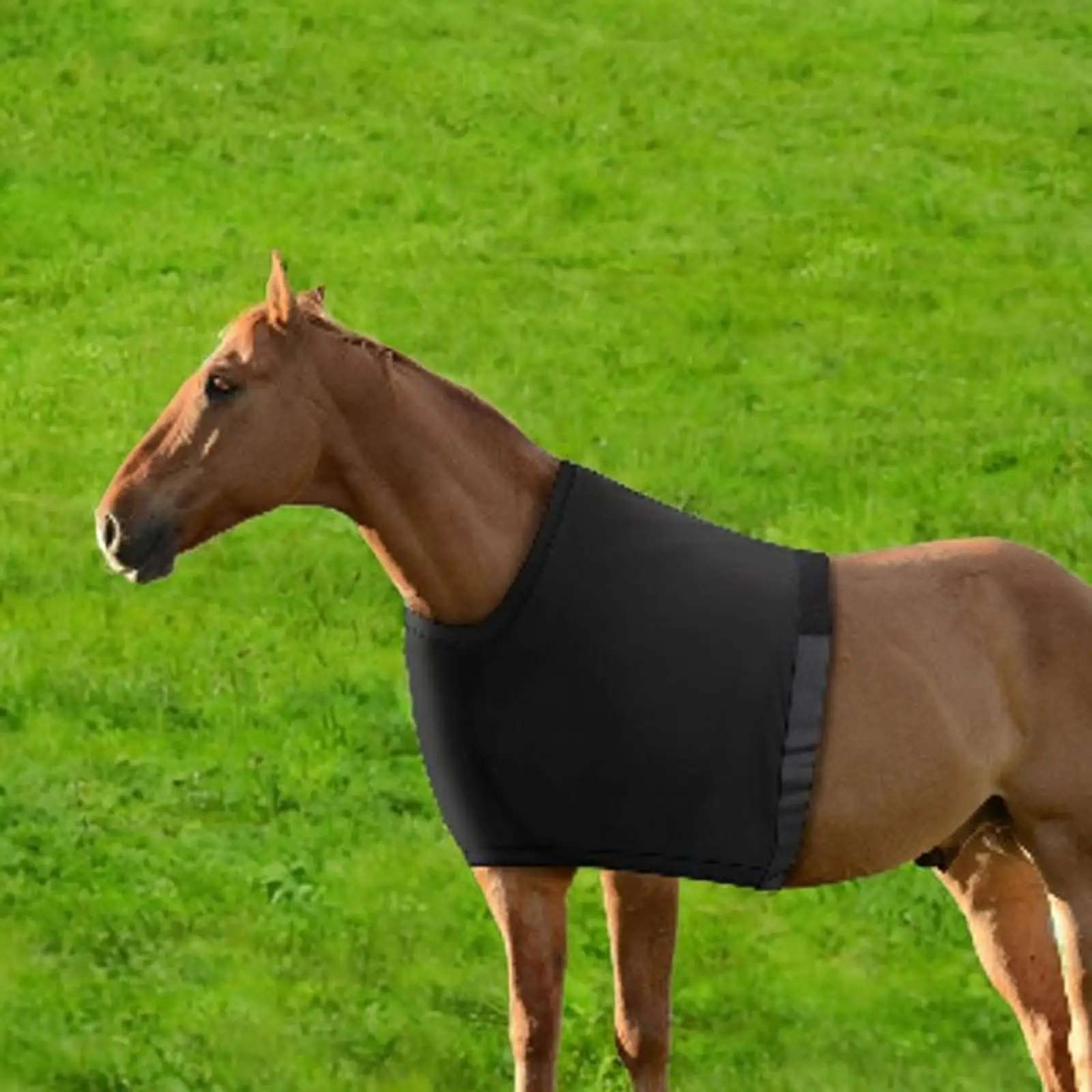 Horse Shoulder Guard High Elastic Portable Wither Protection Anti Rub Bib