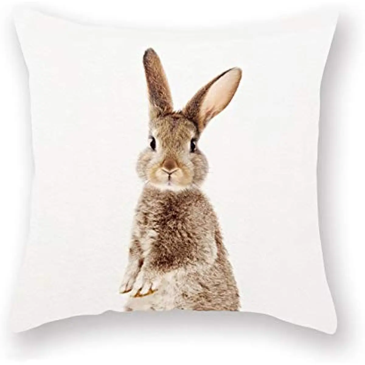 فوندا دي ألموهادا ديكوراتيفا دي كونيجو جريس فوندو بلانكو، فوندا دي ألموهادا ديكوراتيفا بارا داميتوريو، أريكة كوادرادو #3