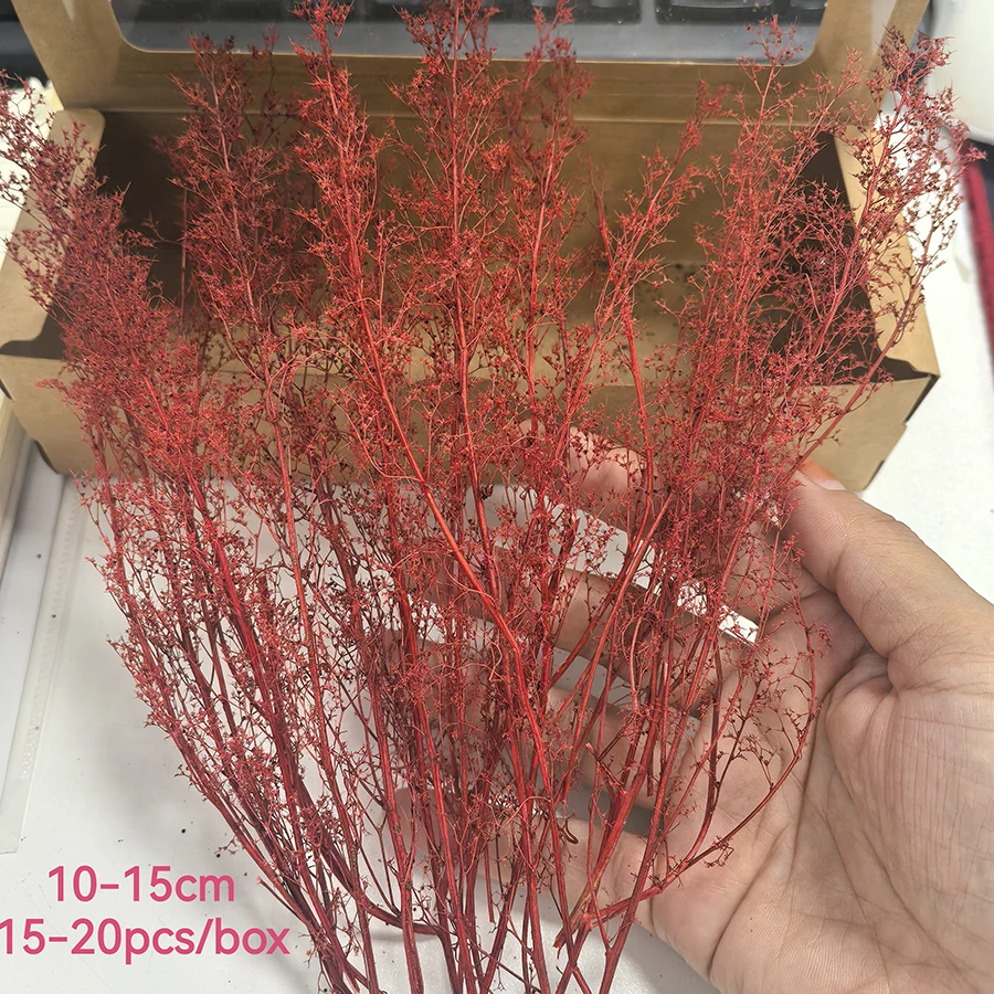 H10-20cm أشجار محاكاة البحرية نباتات الكينوا الشوكية المصغرة للسكك الحديدية/المناظر العسكرية/لعبة الحرب/صنع نماذج ذاتية الصنع/ديورامات