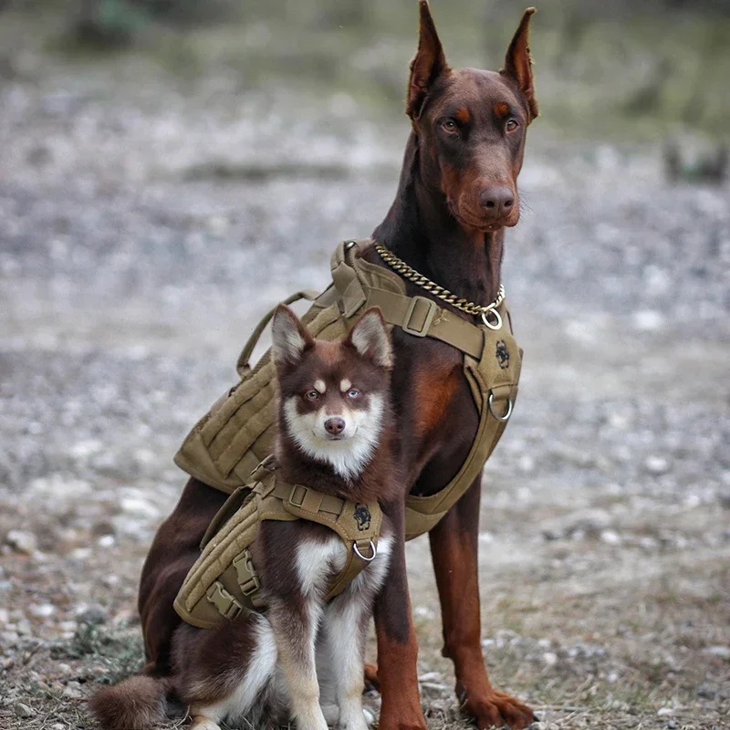 Aire Mesh No-Pull Dog Harness الخدمة التكتيكية سترة الكلب نمط عسكري ملابس الكلاب مع مقابض للتدريب على المشي