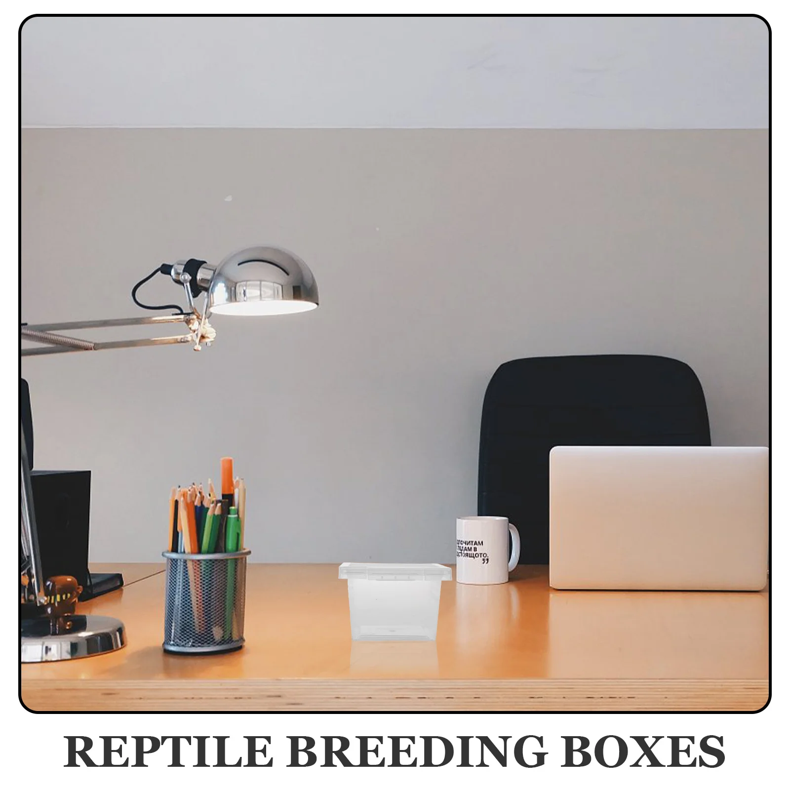 100Pcs Insect Breeding Boxes Transparent Reptile Cage Feeding Boxes Spider Lizard Cricket Cage Tank Transparent Feeding Box