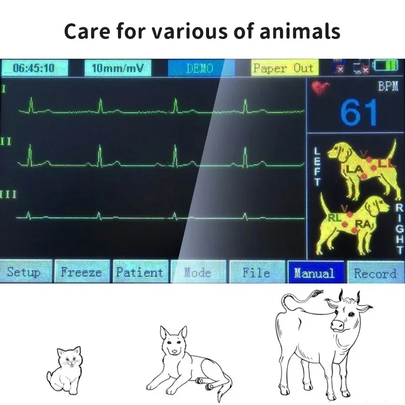 Smart F Vet Tragbare elektronische digitale Einkanal-Elektrokardiographenmaschine Vet e cg-Maschine