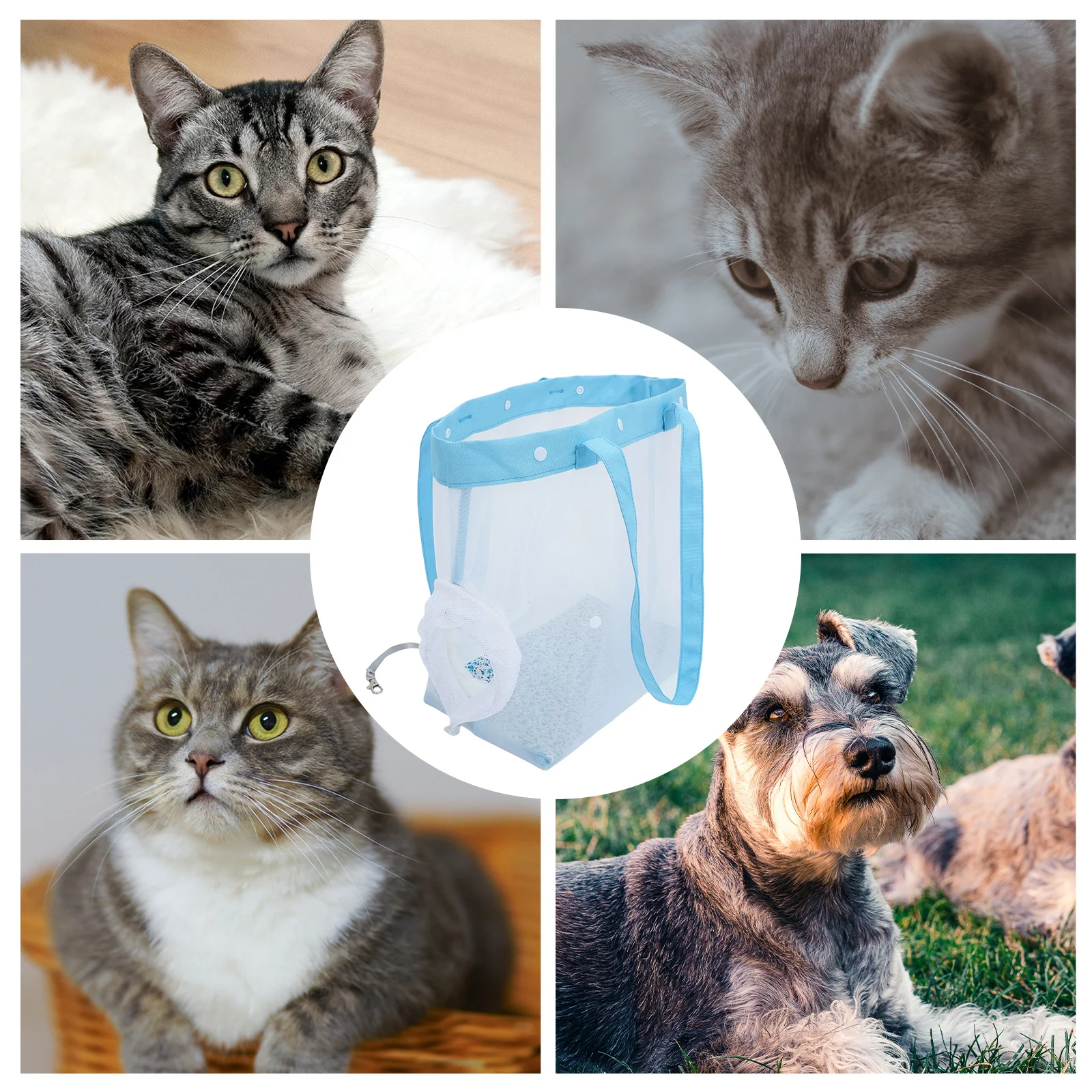 

Lightweight Mesh Cat Travel Carrier Tote 35x32x18cm See-Through Ventilated Design for Daily Walks Short Trips Outdoor Use Easy