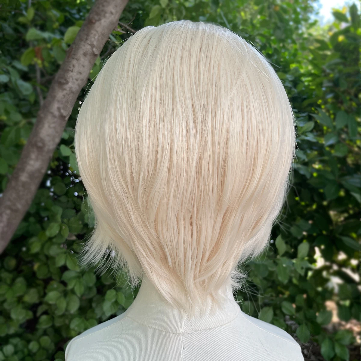 Platinum Blonde Short Bob Cut Synthetic Lace Front Wigs for Women Cosplay Wig for Men Star Glueless 13x4 Lace Front Wigs Natural