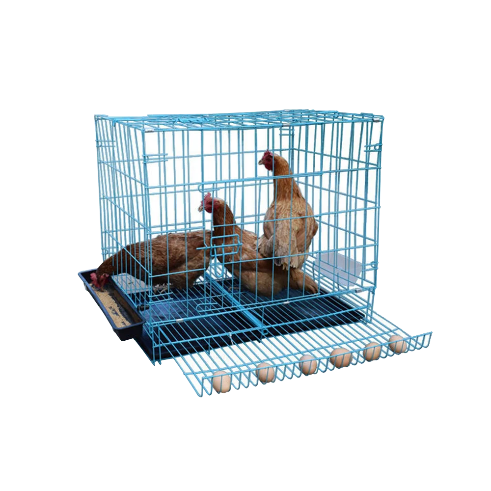 Easy using blue iron wire folding chicken cage chicken layer cage