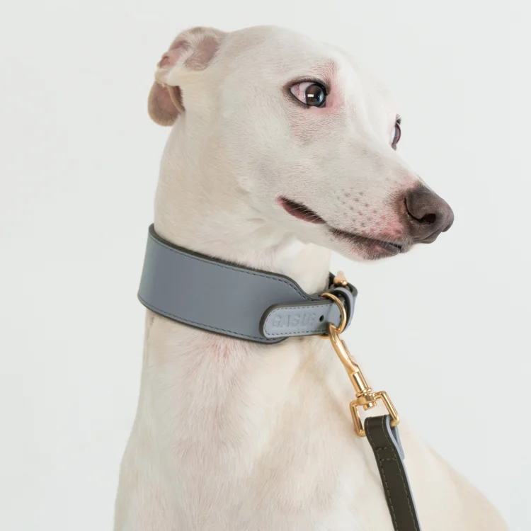 

Роскошный широкий ошейник для собак из воловьей кожи премиум-класса, кубинский ошейник для собак Pitbull, многоцветный дополнительный ошейник для домашних животных с солнечным цветком