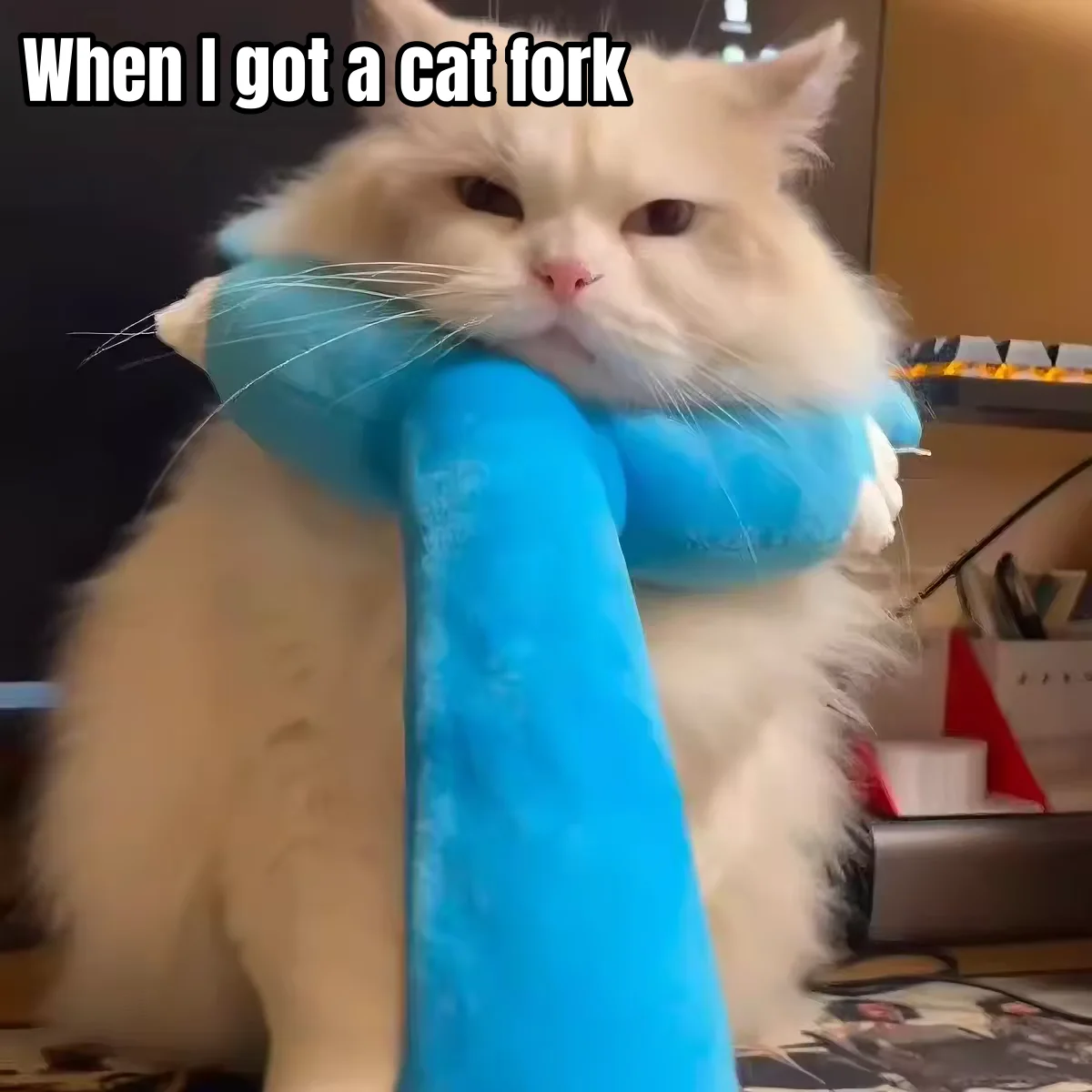 Bâton de chatouillage pour chat en peluche, bâton de chasse, fourche de capture pour chat, jouet pour animal de compagnie, jouet interactif, dispositif de punition pour chat coquin
