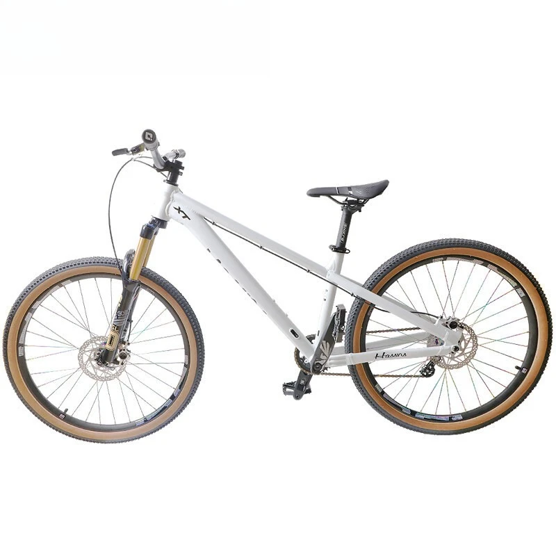 

AM Mountain Bike Off-Road DIY Assembly Street Bike Disc Brake Dry Drop Frame