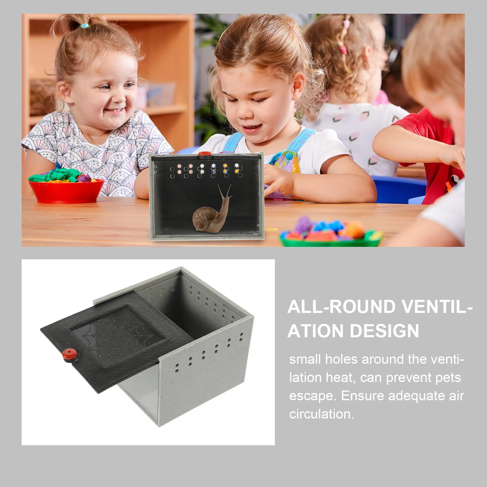 

Jumping Spider Ventilated Glass Container Acrylic Panel Reptile Feeding Box Spider Terrarium Snail Habitat Vertical Insect