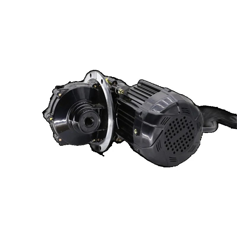 60V 1000W  Brushless DC Electric Motor Replacement Engine Accessory For Electric Tricycle Rickshaw 3-wheeled Cargo Vehicle