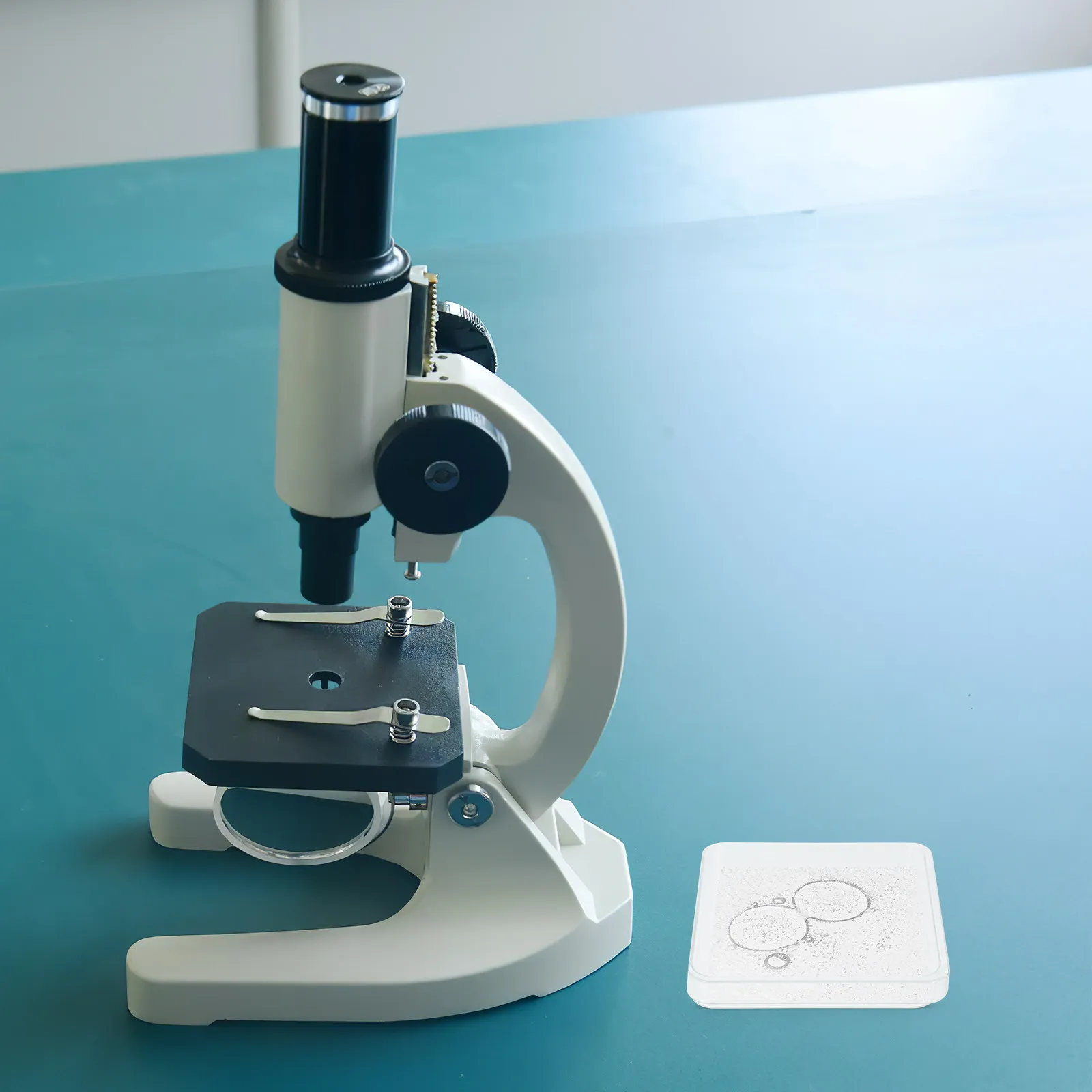 

10 наборов одноразовых стерильных пластиковых чашек Петри, квадратные культуральные пластины для лабораторных биологических исследований