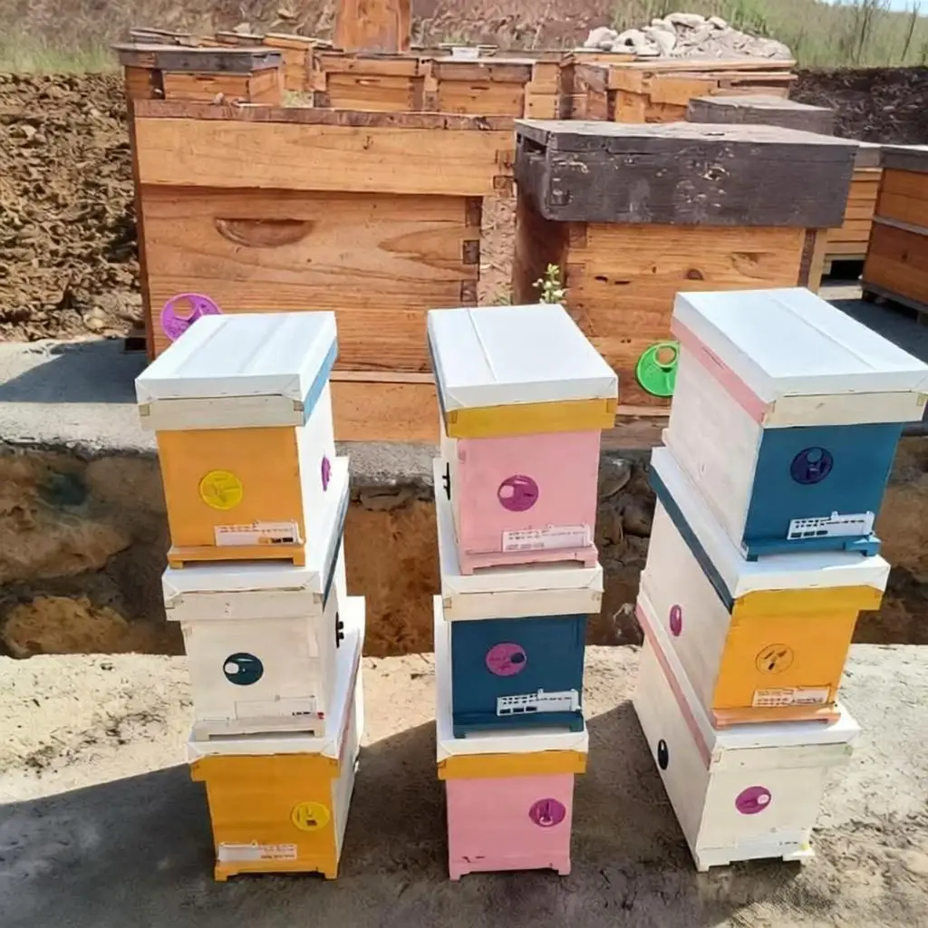 1000PCS Beekeeping Plastic Beehive Rotate Door Round NUC  Box  Split Box Swarm Hive Ventilator Reducer Tools Apiculture Supplies