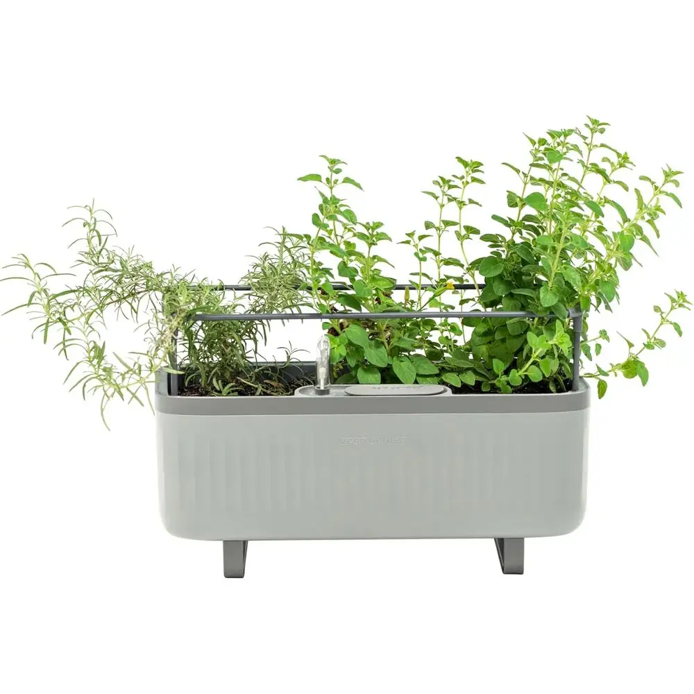 

Коробка для выращивания трав в помещении с самополивающимися горшками, решеткой и подставкой для подоконника или столешницы - серая