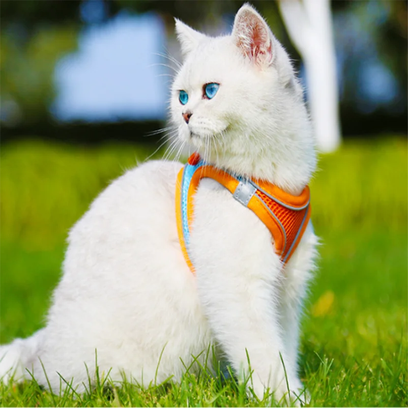 Arnés reflectante con correa para perros pequeños Chihuahua y gatos - imagen 3