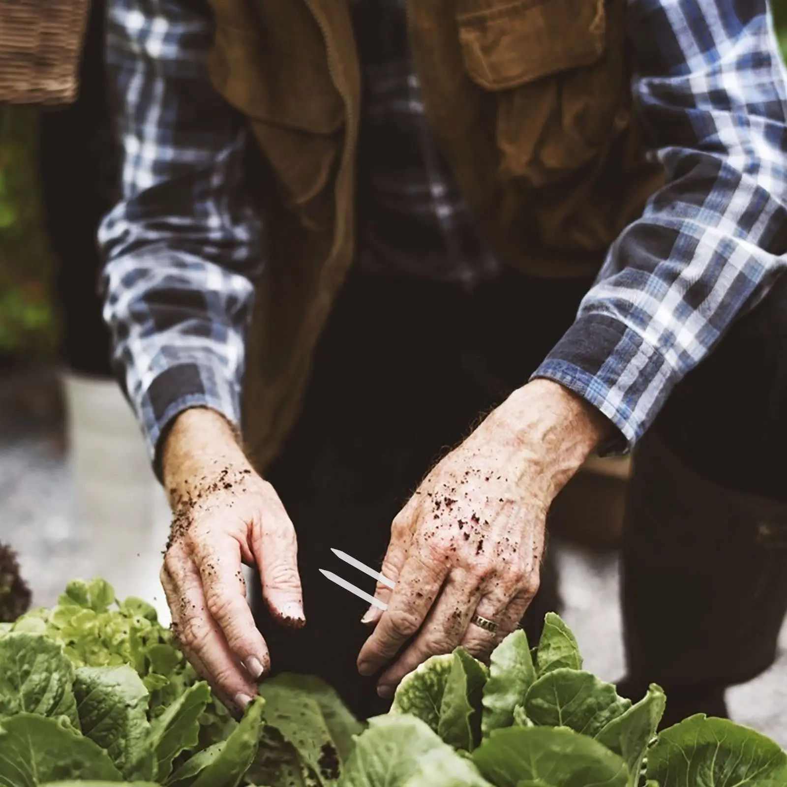 

Набор пластиковых фиксаторов для садовых растений: подпорки для клубники, держатели для пересадки, вилки для виноградной лозы для теплиц и садоводства на открытом воздухе