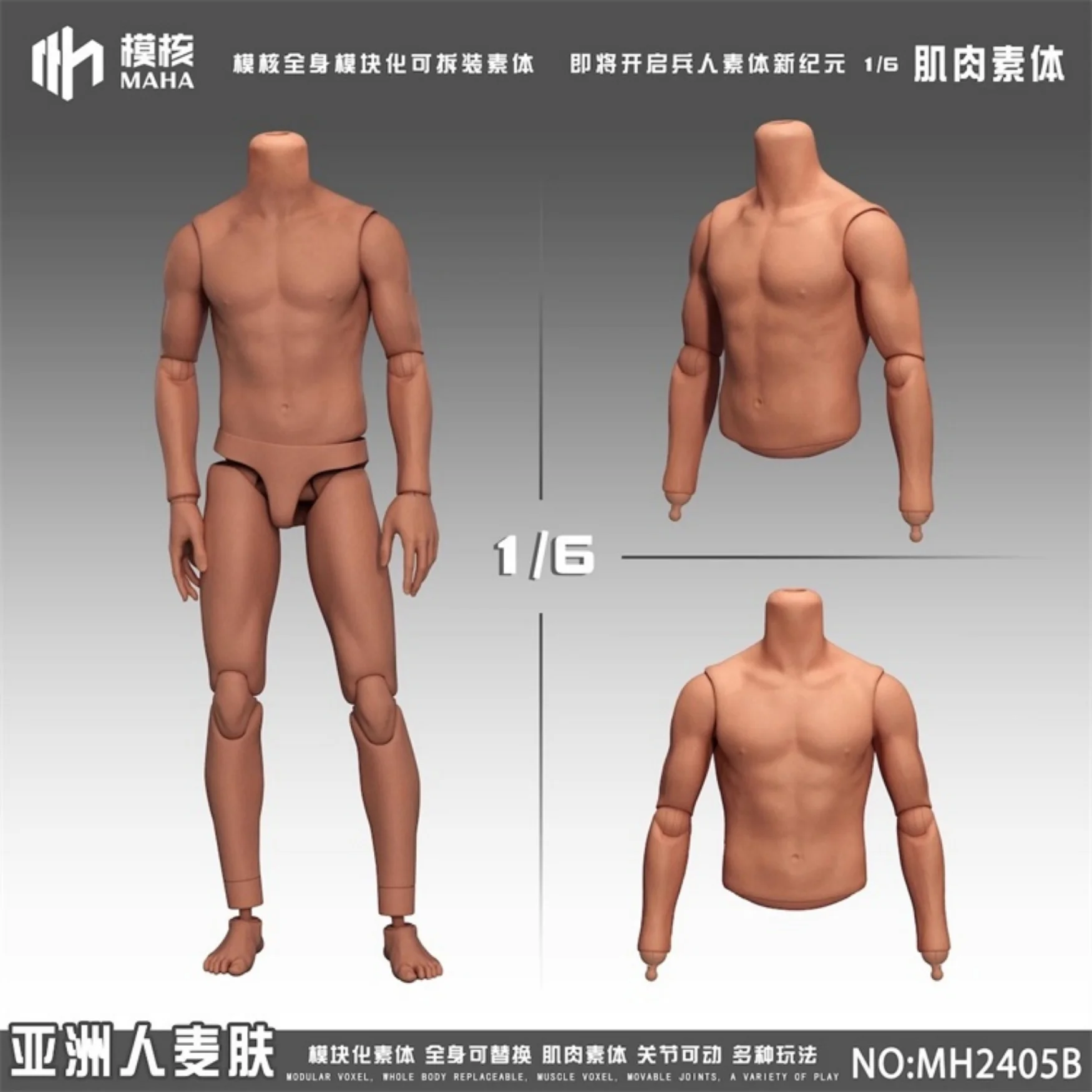 

MAHA studio 1/6 2405 Standard Muscle Action Figure Body Doll Model