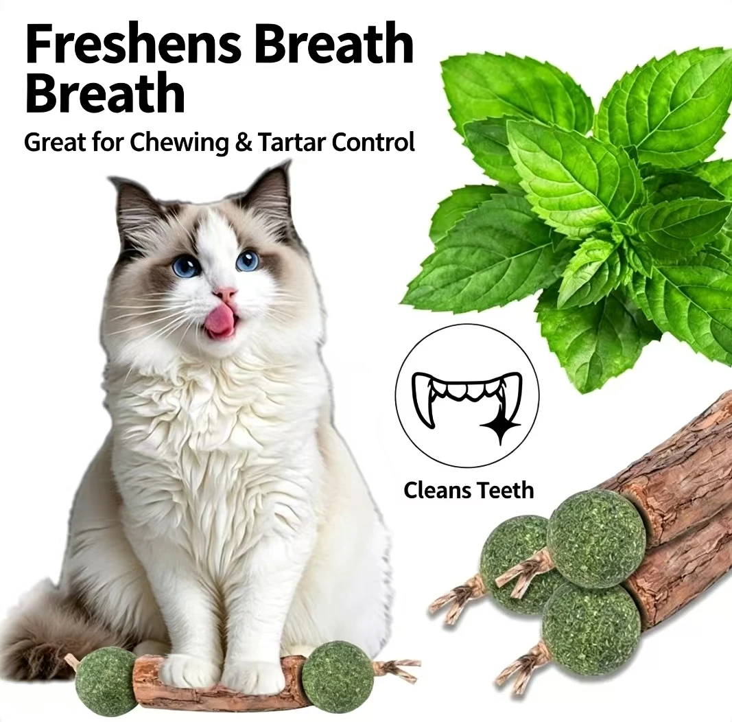 Cat Toy: Wooden Catnip Double- - Catnip Toys review and price