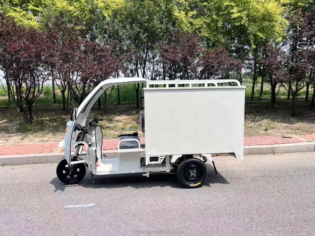 Big Volume Cargo Box Electric Tricycle Three Wheel Electric Cargo Carrier Lead Acid Battery Long Standby Logistics Delivery