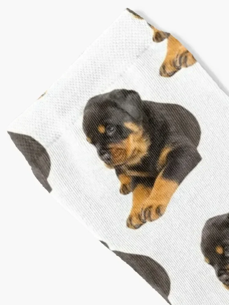 ROTTWEILER DOG TSHIRT Socks happy retro Socks Female Men's