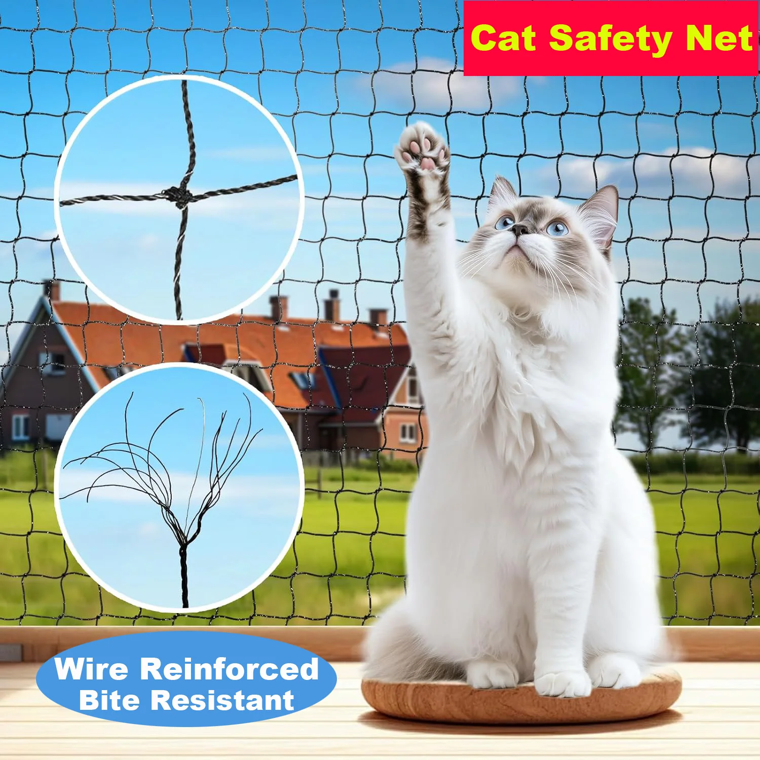 #4 Latest Cat Safety Window Nets Updates