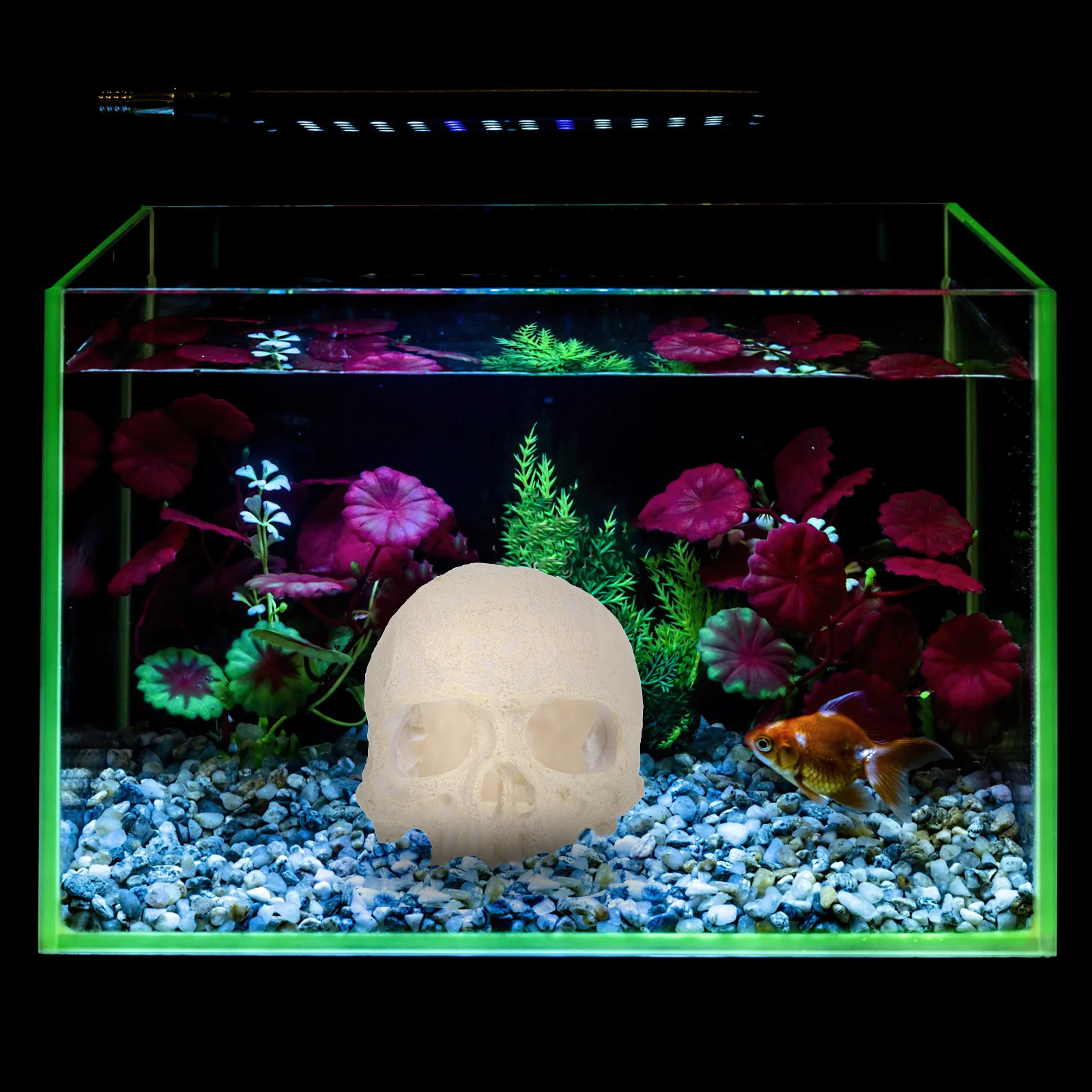 

Aquarium Resin Skull Fish Tank Realistic Skull Ornament Reptile Shelter Cave Lizard Gecko Spider Hideout Decor