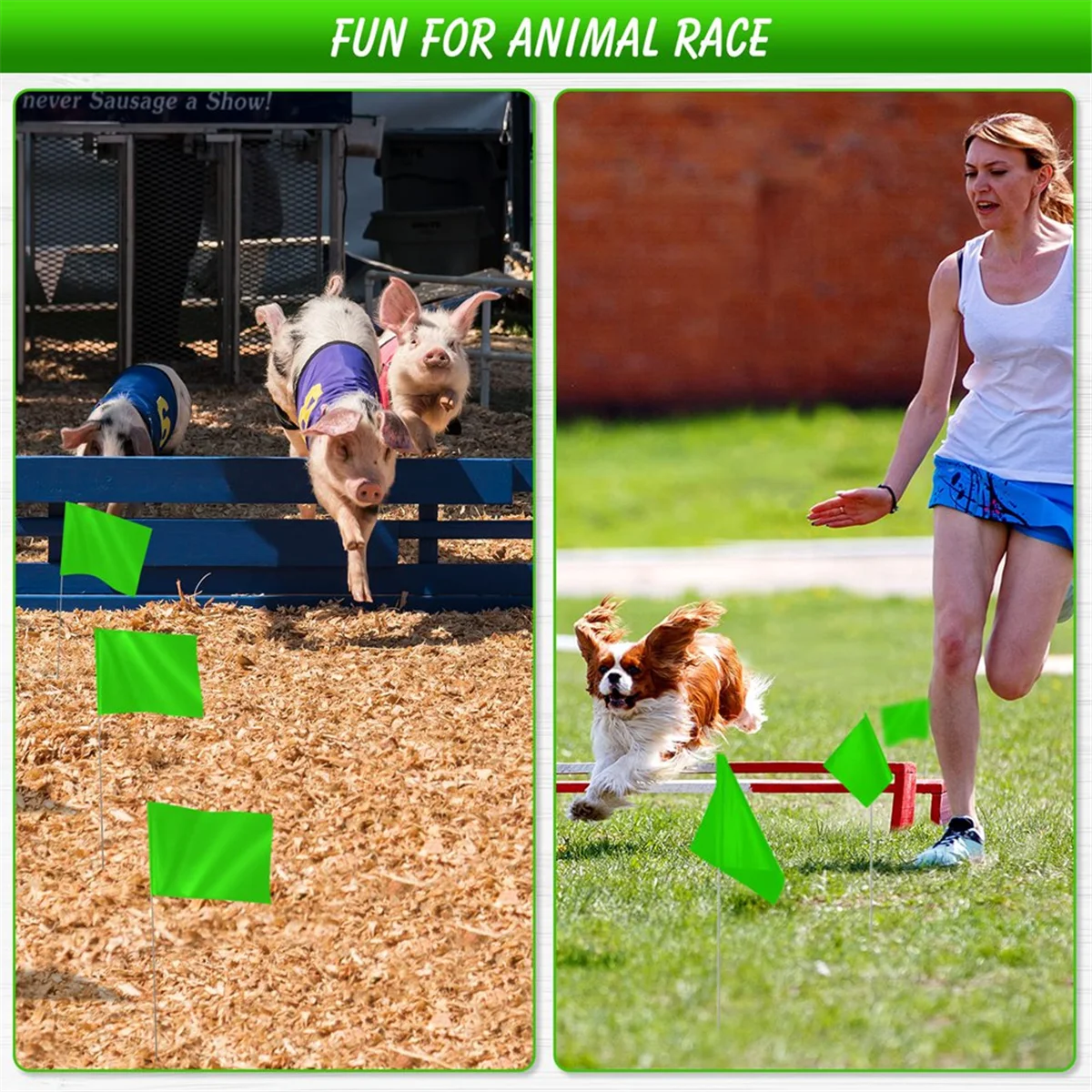 NN89R Marking Flags Marker Flags for Lawn 30 Pack, PVC Small Flags,Marking Flags Lawn Flags, Garden Flags,Survey Flags,Green