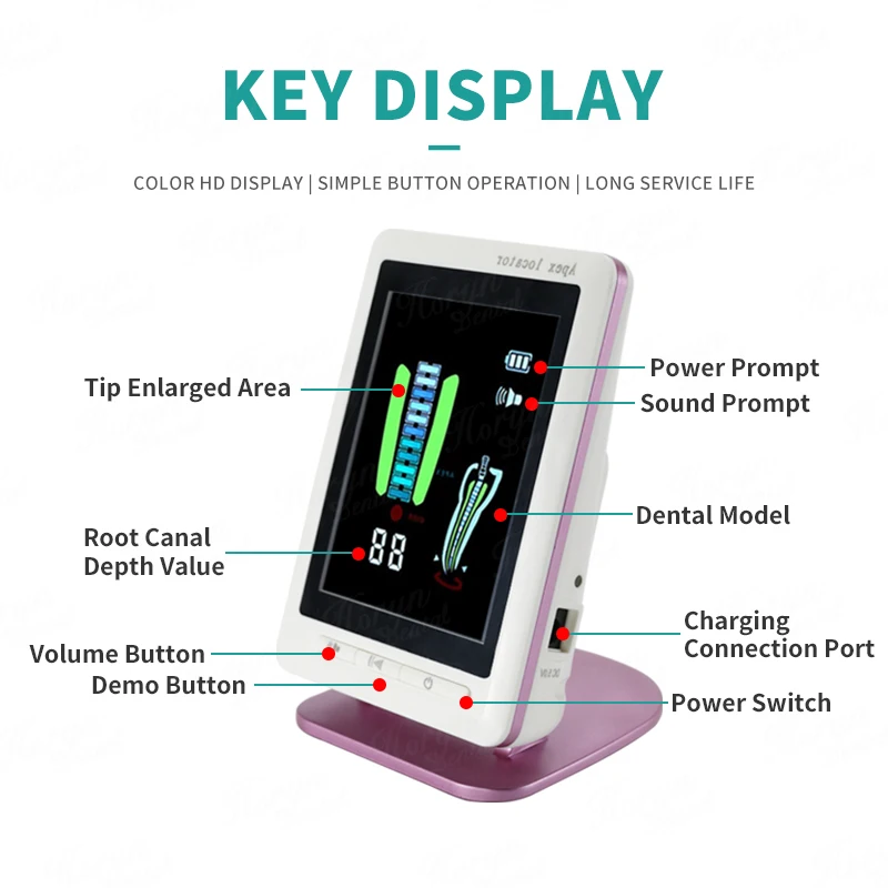 Portable Apex Locator Endo Canal Raiz, Screen Measuring, Laboratório Odontológico, Endodontic, den Tissue, Instruments