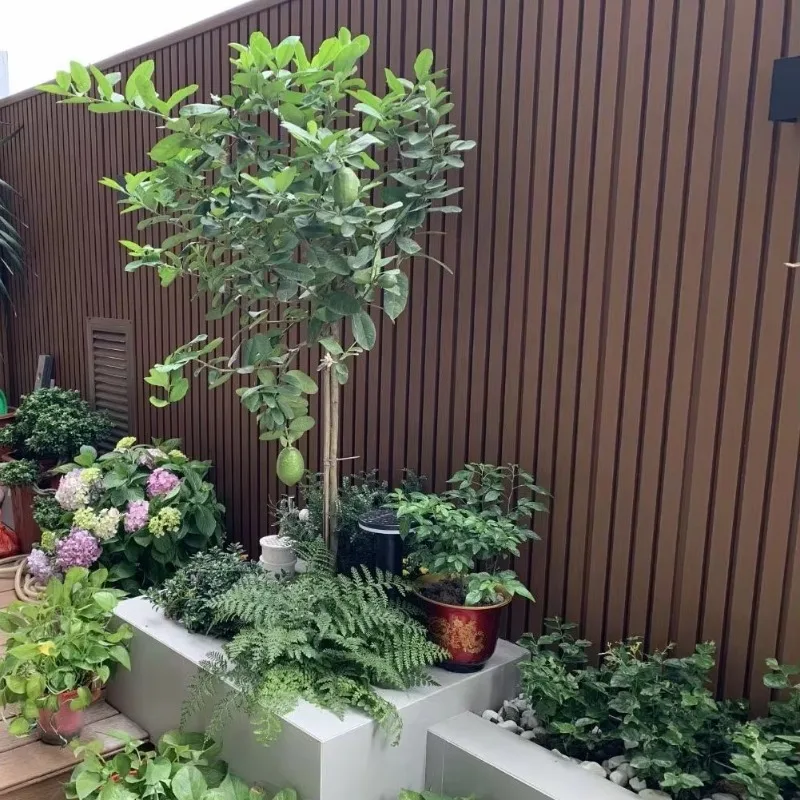 Grooved Wallboard Fence for Garden Courtyard WPC Cladding Siding